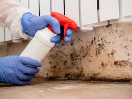 Best Mold Documentation for Insurance Claims  in Mckees Rocks, PA